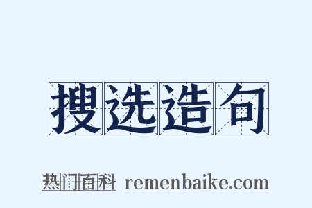 搜选造句是什么意思的图片